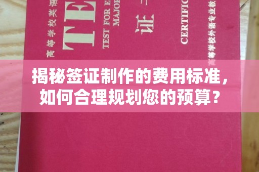 确山揭秘签证制作的费用标准，如何合理规划您的预算？